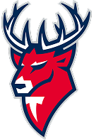 Торпедо Торпедо