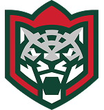 Ак Барс